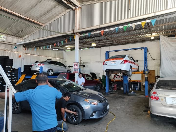 Servicio profesional